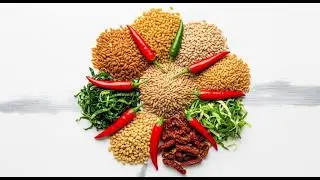 🌽Indigenous Food Sovereignty and the Seed Rematriation Movement