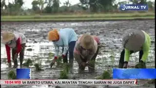DEWAN DORONG PROGRAM STRATEGIS DAERAH