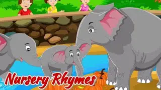 🌟🐘 Elephant Fun Song | Big Ears, Big Joy! 🎶👂