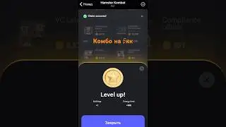 Комбо на 5 кк в #hamsterkombat в моем тг канале #комбо #airdrop #hamsterkombat #хомяк