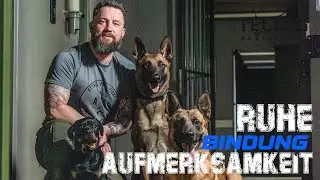 Aufmerksamkeit, Ruhe & Bindung zu deinem Hund im Alltag & Training