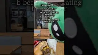 hamburger 🍔#viral #ikeaalien #kandi #burger #makemefamous