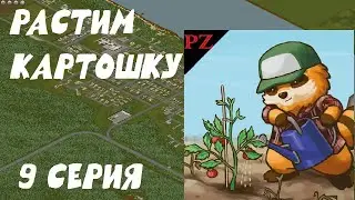 Беды со звкуом l Тренер Тод l Project Zomboid