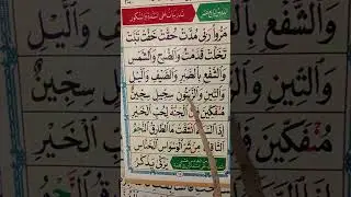 القاعده النورانية الدرس الرابع عشر