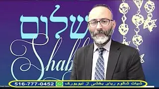 Shabbat Shalom 462
