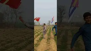 kite mela 😍😍