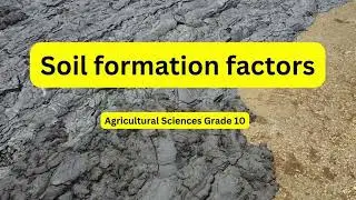 Agricultural Sciences grade 10: Soil formation factors