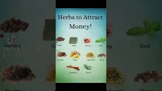 Money herbs #hoodoo #htownhoodoo  #hoodoo  #moneyspells #spells