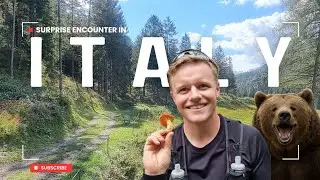 Did you know that BEARS live in Italy? Come for a hike with us and find out..