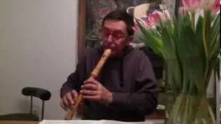 G. P. Telemann, Fantasia n. 1 for recorder