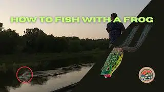 Techniques for Catching Bass with Frog Lures | Bass Fishing With A Frog
