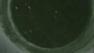 Pike vs 2nd Pike vs 3rd Pike Close Up Pre-Spawn