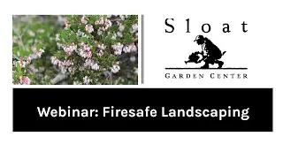 Firesafe Landscaping