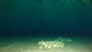 Ginnie Springs: Bone Line - Whites Room - Bone Room - Main Line - Mud Tunnels - Roller Coaster