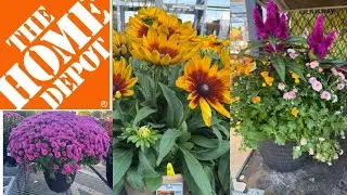 РАСПРОДАЖА ТОВАРОВ HOME DEPOT И ЛУЧШИЕ НОВЫЕ ПОСТУПЛЕНИЯ РАСТЕНИЙ | КАК СДЕЛАТЬ ВАШ САД ПРЕКРАСНЫМ?