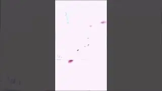 [🔥About HoloX🔥(Hololive Generation 6th)]