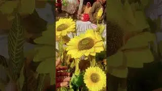 Decoration Lovers Must Visit | Sadar Bazar Street Market 🔥
