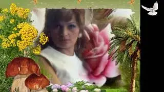 Silvana  -  Ciganine ti &scaron;to svira&scaron;-- nova Verzija