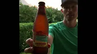 Best Hawaiian Beer