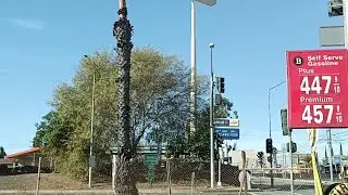 LA Cruising #L002 - Live On Board Cam (View Only)