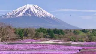 ATOM&trade; & MASAKI SAKAMOTO / Alien Symphony 004