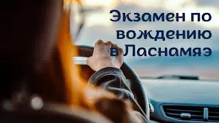 Экзамен по вождению в Ласнамяэ: разбираем важные моменты