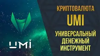 Краткий рассказ о Блокчейне UMI на сайте umi.top!