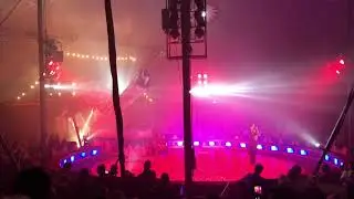 Cirkus - Brazil Jack