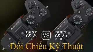 Sony A7S II v&agrave; Sony A7R II: Một Đối Chiếu Về Th&ocirc;ng Số Kỹ Thuật
