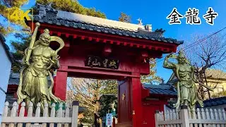 金龍寺｜閻魔大王が祀られているお寺