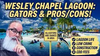 Don't Move to Wesley Chapel Florida Until You Watch This!