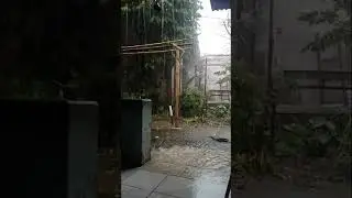 Heavy rain and strong winds accompanied by lightning 2