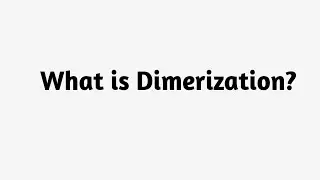What is Dimerization ?