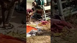 Bajra harvesting #shortvideo #vairalvideo #affan-asghar-electric-works