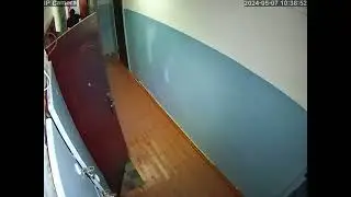10:38 (56 кв.) Одна краска для волос на всех