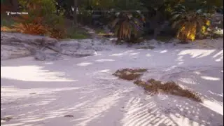 Assassin's creed beach walk first person view
