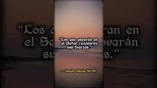 🕊️ God will renew your strength