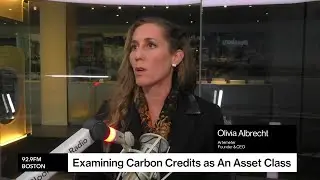 Demand in Carbon Credit Market Continues, Says Artemeter CEO