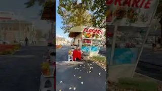 Kezia in ROMANIA - Take a walk in Braila City #experience #travel #romania #explore #city #autumn
