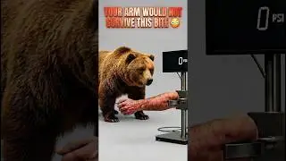 Your Arm Would Not Survive This Bite #shortvideo #shorts