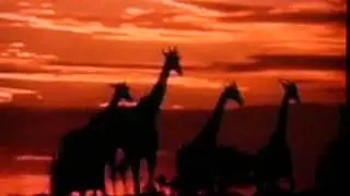 Whispers: An Elephant's Tale Trailer (Now Available Version)