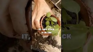 5 Random Life Hacks You Can Use!