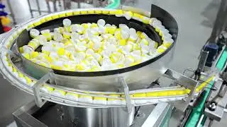 013C Automatic cap sorting and pressing machine