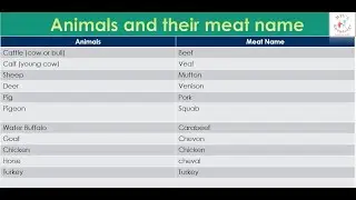 Different types of meat names #english #science #gk #vocabulary #competitiveexams