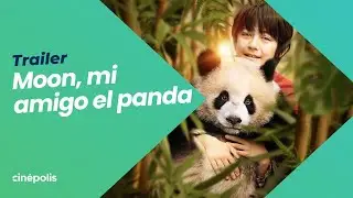 MOON, MI AMIGO EL PANDA | TRAILER