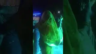 dance