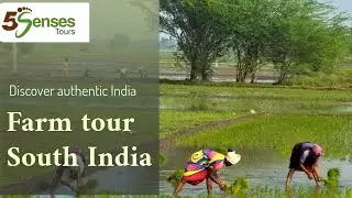 Farm tour South India video for experiential travel authentic India