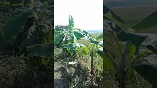 Village Life and Fish Catching | My Daily Life Blogs 🥰-1 || New Blogs BD || Favourite Blogs 