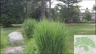 Doyle Community Park Hike