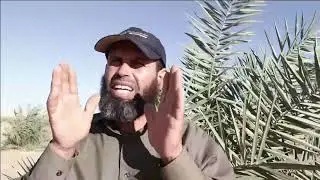 الجزء الثانى كيفية انشاء مزرعة نخيل فى الفرافره الوادى الجديد